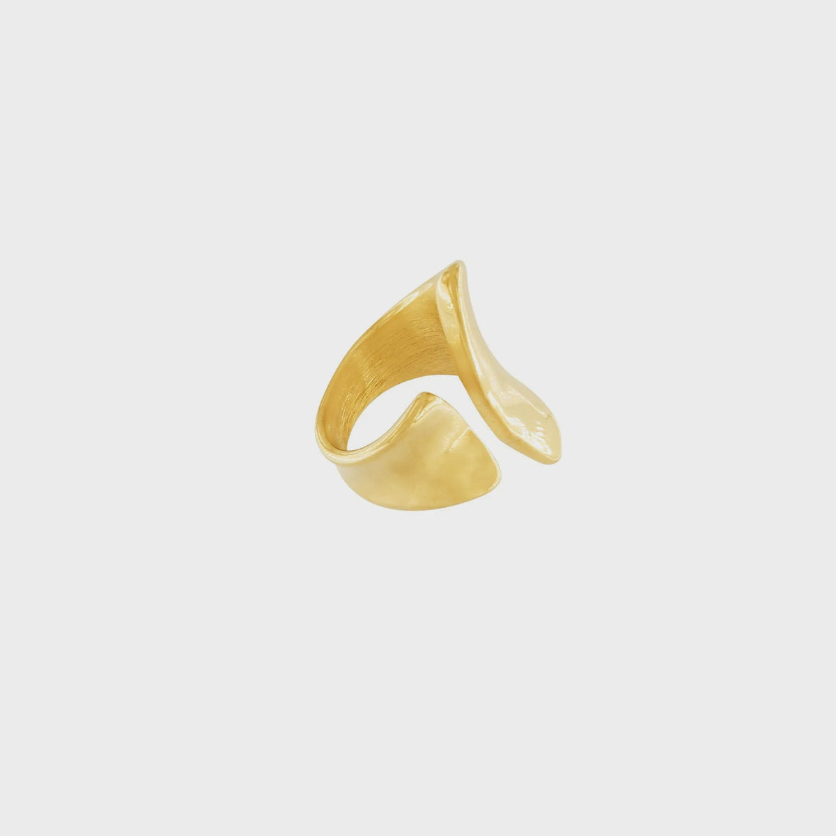 Ring: Waterproof Impression Shiny COURAGE - Silver Plated - Dansk