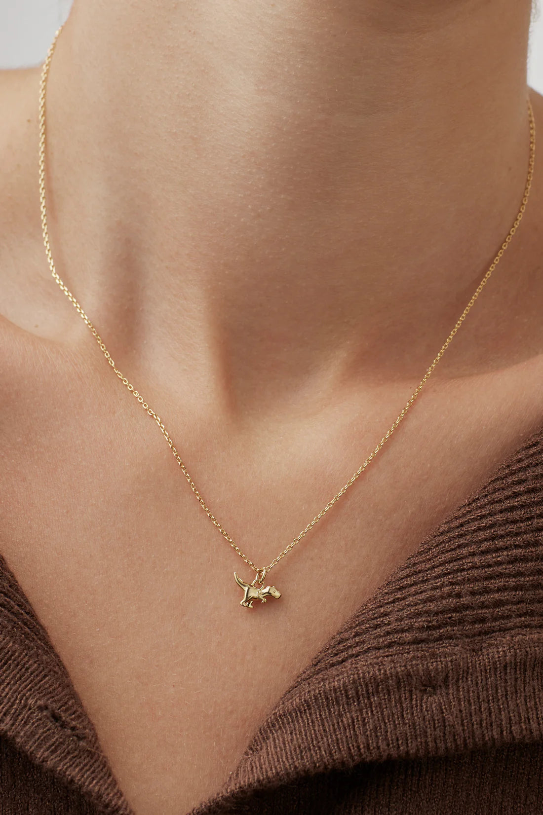 Necklace on Card: Short - Dinosuar- YOU'RE ROARSOME - Gold Plated - Estella Bartlett