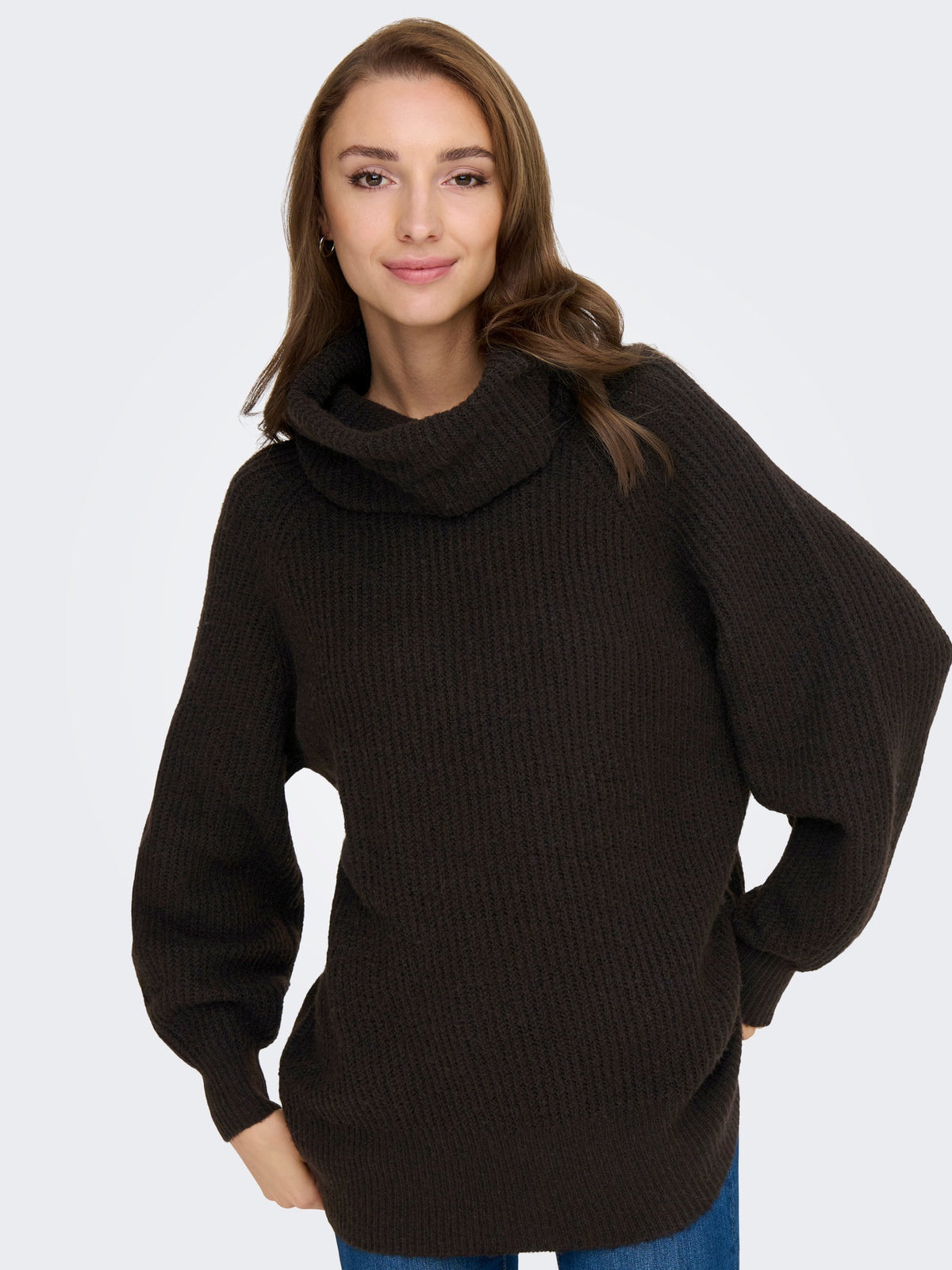 Jumper: Knit Wool Mix Roll Neck Long Sleeve  WHITNEY - Chocolate Brown