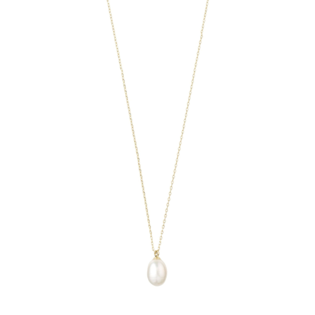 Necklace: Short Chain Freshwater Pearl Pendant Eila - Gold Plated - Pilgrim